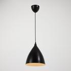 Светильник 2021/1, 40Вт Е14, цвет чёрный - фото 2597645