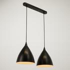 Светильник 2021/2, 2х40Вт Е14, цвет чёрный - фото 2597651