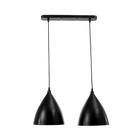 Светильник 2021/2, 2х40Вт Е14, цвет чёрный - фото 2597653