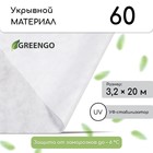 Материал укрывной, 20 × 3.2 м, плотность 60 г/м², с УФ-стабилизатором, белый, Greengo, Эконом 20 % 5864818