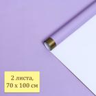 Бумага глянцевая "Золотая полоса", сиреневая, 1 х 0,7 м, 2 шт. 6485016