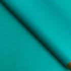 Бумага глянцевая "Золотая полоса", изумрудная, 1 х 0,7 м, 2 шт. 6485018