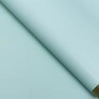 Бумага глянцевая "Золотая полоса", мятная, 1 х 0,7 м, 2 шт. 6485022