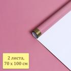 Бумага глянцевая "Золотая полоса", пудра, 1 х 0,7 м, 2 шт. 6485025