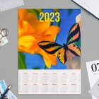 Календарь листовой А4 "Бабочки - 2023" - фото 2795716