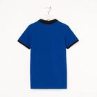 Футболка-поло для мальчика, цвет василёк, рост 110 см (5 лет) - фото 799766768 Футболка-поло для мальчика, цвет василёк, рост 110 см (5 лет) - фото 799766768