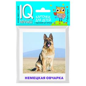{{productViewItem.photos[photoViewList.activeNavIndex].Alt || productViewItem.photos[photoViewList.activeNavIndex].Description || 'Набор карточек для детей «Породы собак». Малунова М. В.'}}