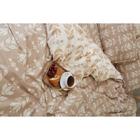 Постельное белье Этель Евро Hygge (вид 1) 200*217 см, 240*220 см, 70*70 см - 2 шт - фото 799767526