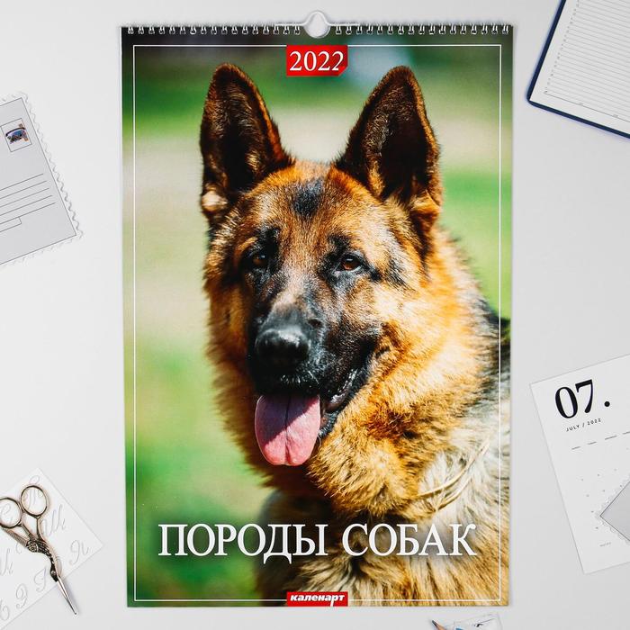 Пес Новый Сезон 2022 Год Пес Новый Сезон 2022 Год