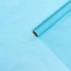 Бумага упаковочная тишью, светло-голубая, 0,6 х 10 м - фото 1606515