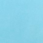 Бумага упаковочная тишью, светло-голубая, 0,6 х 10 м 6937148