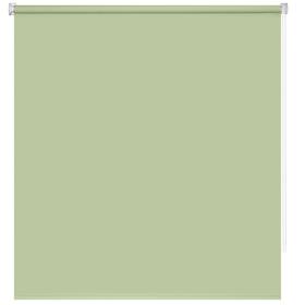 Рулонная штора «Плайн», 100х160 см, цвет весенний зеленый