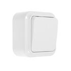 Выключатель BYLECTRICA А5 6-224 АКВА, 6 А, 2 клавиши, наружный, белый - фото 799625528