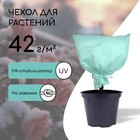 Чехол для растений, 60 × 56 см, спанбонд, МИКС 7017654