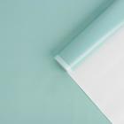 Бумага упаковочная глянцевая «Нежная мята», 70 × 100 см (10 шт) - фото 801785943