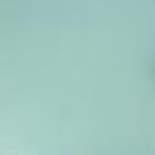 Бумага упаковочная глянцевая «Нежная мята», 70 × 100 см (10 шт) - фото 801785944
