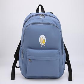Рюкзак, 2 отдела на молниях, наружный карман, 2 боковых кармана, цвет голубой
