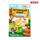 Аппликация наклейками «Домашние животные» 4 игровых поля + 2 листа с наклейками 5616976 - фото 7152165