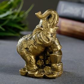 Статуэтка "Слон  со слоненком на деньгах" состаренное золото, 7см в Донецке