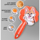 Расчёска для животных «Корги», цвета МИКС - фото 799646762