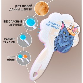 Расчёска для животных «Мейн-кун», цвета МИКС