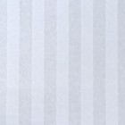 Бумага силиконизированная «Полоски», белые, 0,38 х 5 м - фото 9270205