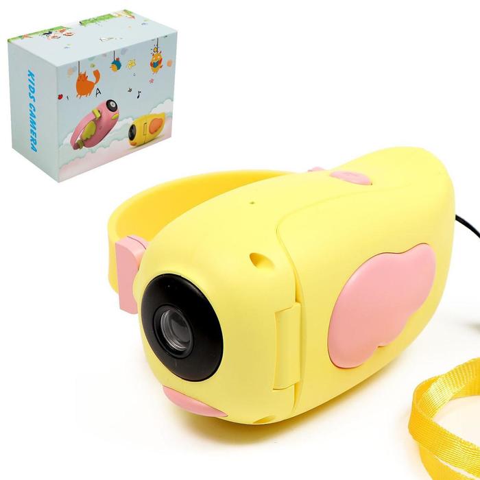 bird video camera