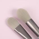 Набор кистей «Парфе», 5 предметов, футляр на кнопке, цвет серый - фото 799687309