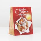 Пакет крафтовый вертикальный «Лови звезду», MS 18 × 23 × 10 см - фото 799882668