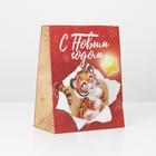 Пакет крафтовый вертикальный «Лови звезду», MS 18 × 23 × 10 см - фото 799882669