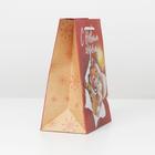 Пакет крафтовый вертикальный «Лови звезду», MS 18 × 23 × 10 см - фото 799882670