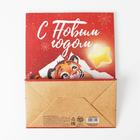 Пакет крафтовый вертикальный «Лови звезду», MS 18 × 23 × 10 см - фото 799882672