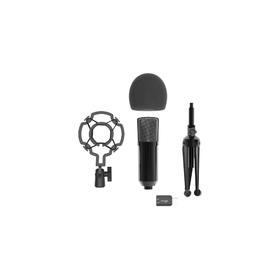 Микрофон RITMIX RDM-160, 20-20000 Гц, Jack 3.5, USB, 1.5 м, черный