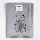 Плед Крошка Я Hello, 90х100 см, велсофт - фото 799699637