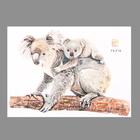 Наклейка пластик интерьерная цветная "Коала с детёнышем" 28х39 см - фото 799702653