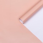 Бумага перламутровая, пудровая, 0,5 х 0,7 м, 2 шт. 6920546