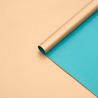 Бумага перламутровая, золотая, 0,5 х 0,7 м, 2 листа 6920552