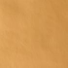 Бумага перламутровая, золотая, 0,5 х 0,7 м, 2 листа 6920552