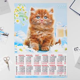 Календарь листовой А2 "Кошки 2022 - 3"