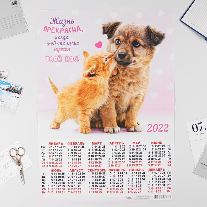Календарь листовой А2 "Кошки и собаки 2022 - 1" - фото 799773761