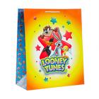 Пакет подарочный Looney Tunes-1, большой, 335х406х155 мм 7041548 - фото 722137