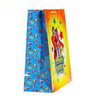 Пакет подарочный Looney Tunes-1, большой, 335х406х155 мм 7041548