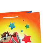 Пакет подарочный Looney Tunes-1, большой, 335х406х155 мм 7041548