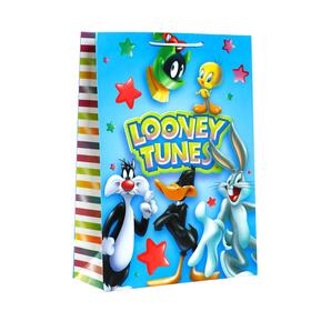 Пакет подарочный Looney Tunes-2, большой, 250х350х100 мм