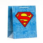 Пакет подарочный Superman, 180х223х100 мм - фото 8329877
