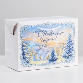 Пакет-коробка «Морозное утро», 28 × 20 × 13 см