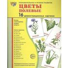 Демонстрационные картинки. Цветы полевые. 16 демонстрационных картинок с текстом. 174х220 мм - фото 3744013