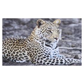 Картина на холсте "Грациозный леопард" 60х100 см
