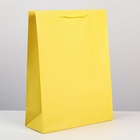 Пакет ламинированный «Жёлтый», L 31 х 40 х 11,5 см 6582781