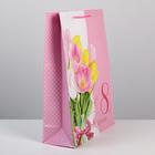 Пакет ламинированный вертикальный «С праздником весны», L 31 × 40 × 11.5 см 6631880